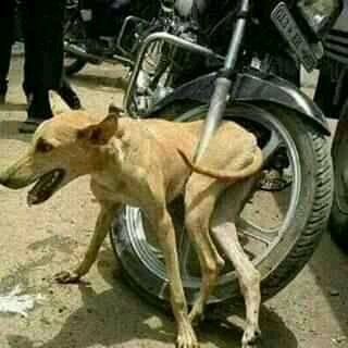 hamedrizq01's tweet photo. مأزق نتنياهو في #غزة https://t.co/ypaH6HcOoA