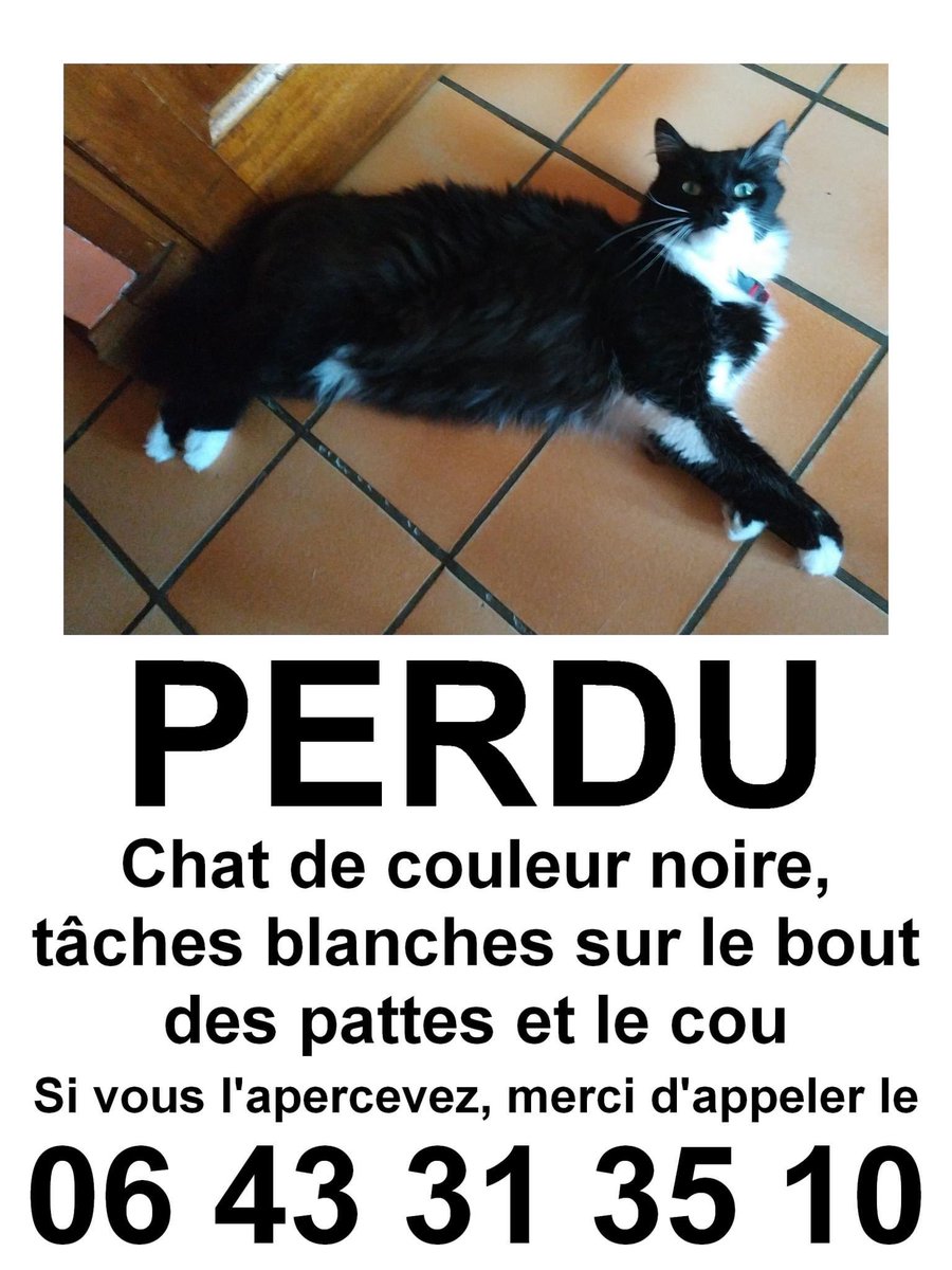 Sur Carvin, si vous avez n’importe quels infos contactez moi, merci #Carvin #Petalert