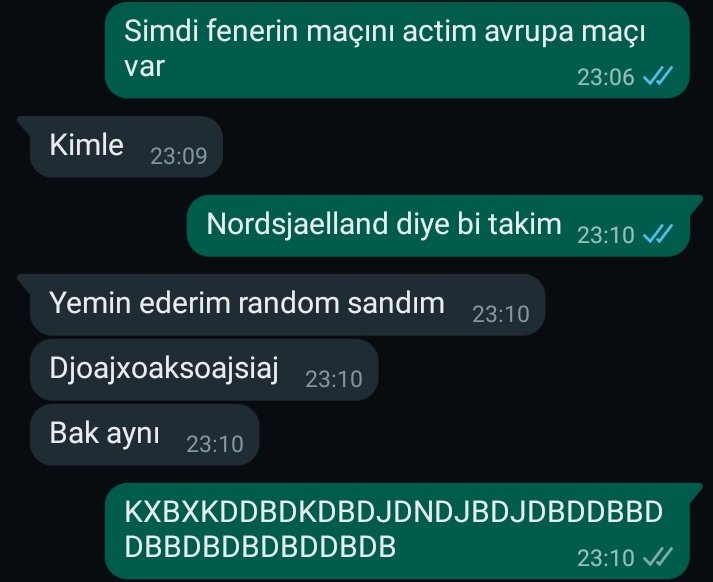 Beyler sizce olur mu?