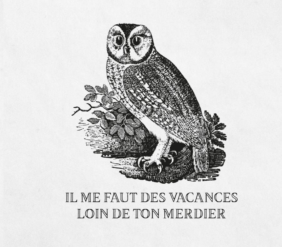 [#Stripclub] Noël arrive bientôt, heureusement... @EffinBirds 2 de @aaronreynolds, à retrouver sur 👉 librairie.lapin.org/gargouilles/84…