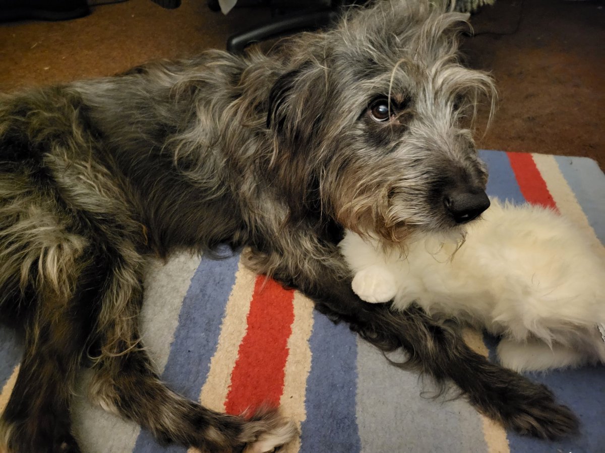 Ellie! 🏳️‍⚧️ tweet media