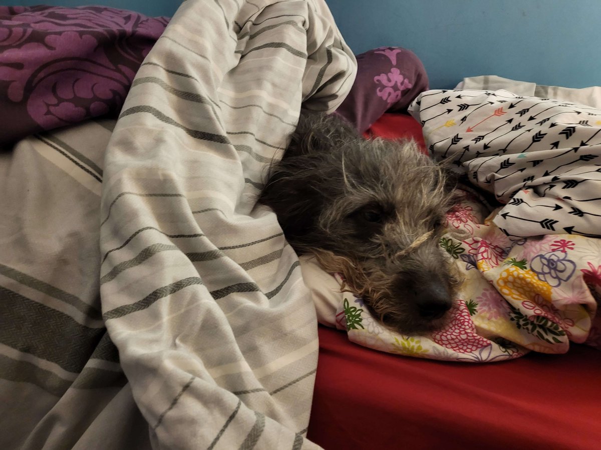 Ellie! 🏳️‍⚧️ tweet media