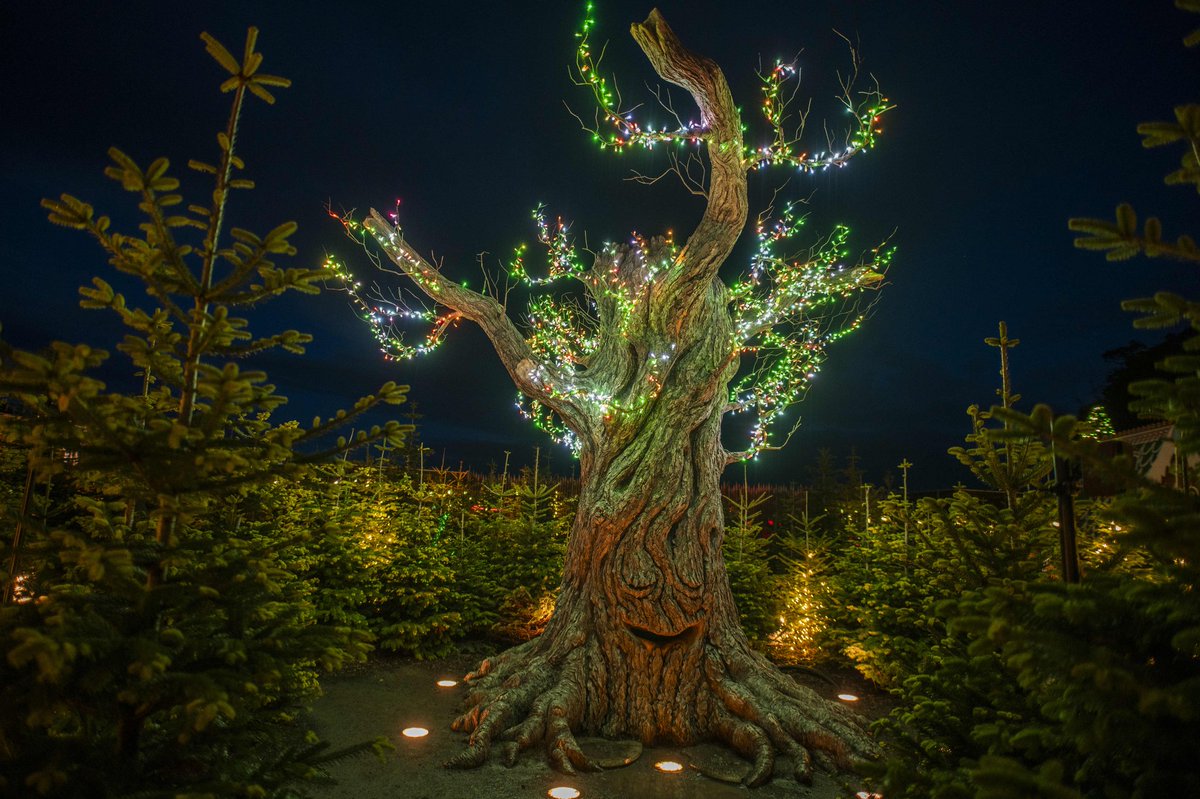 Alnwick Youth Hostel tweet media