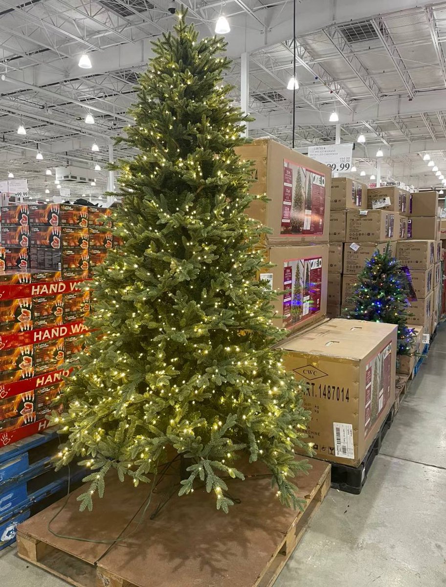 IrenaRose's tweet photo. Shopping for a Christmas tree with friends in Santa Barbara for the first time in preparation for Christmas! 🎄 🎄
May your life be as bright as a Christmas tree, as romantic as Christmas snowflakes, and as happy as Santa Claus! 🎅 🤶 https://t.co/bXqrDTm7lG