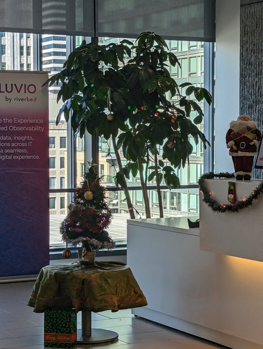 LifeatRiverbed's tweet photo. Our San Francisco Headquarters is getting festive for the holidays! #LifeatRiverbed https://t.co/RSxvXFnFvw