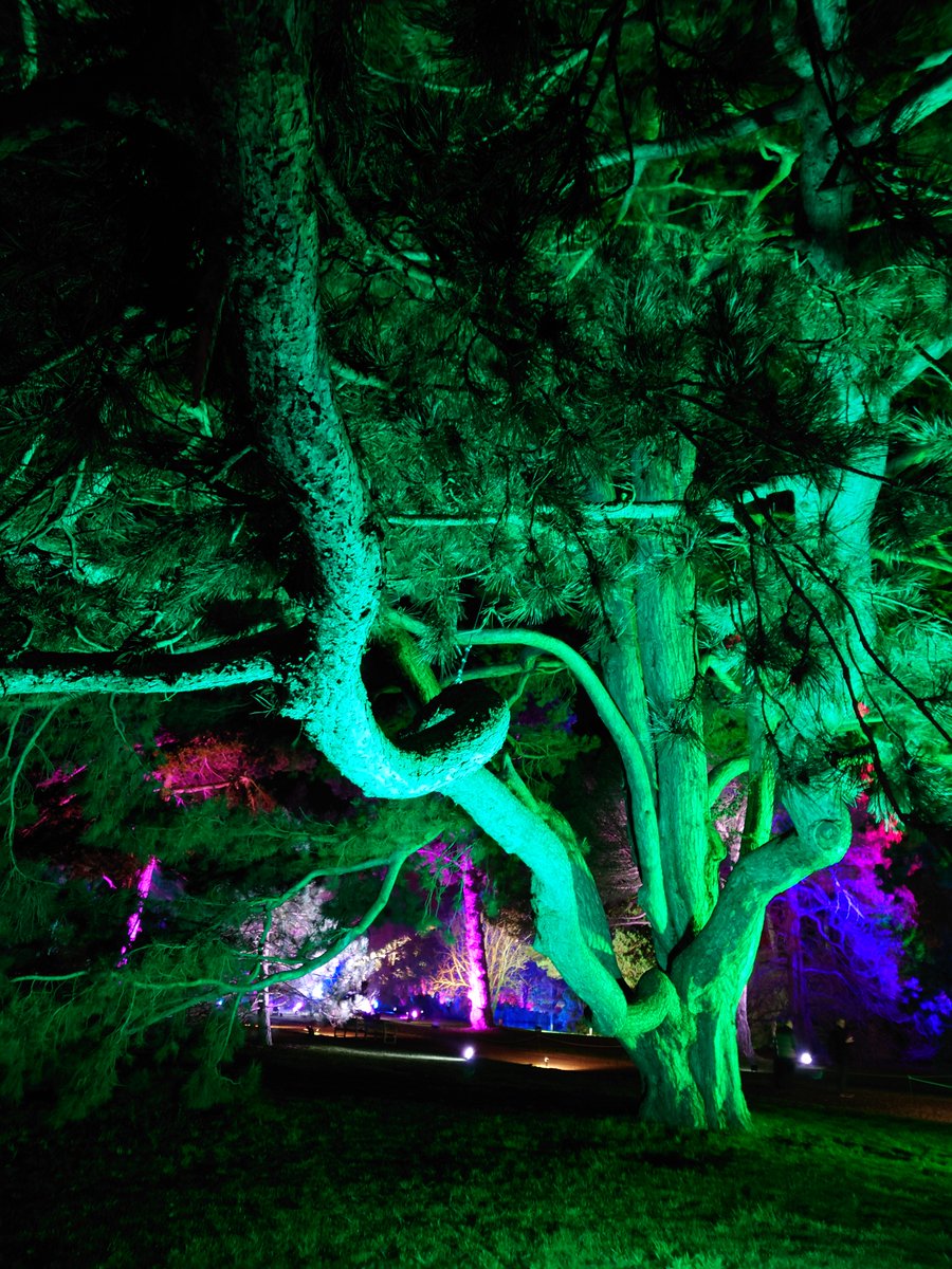 Dr David M.G. Waterhouse tweet media