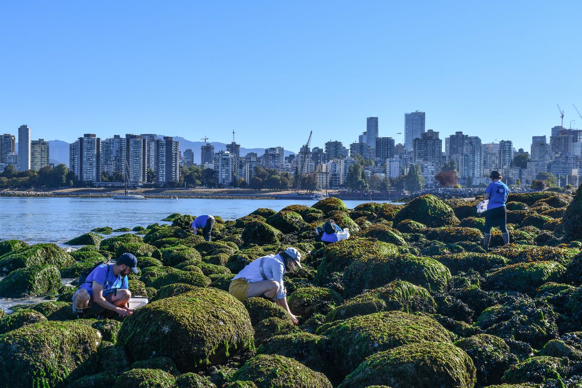 Featured #OceanDecadeAction 🌊 BioActNet is a collaborative network across B.C. and Washington that fosters transboundary #MarineScience and stewardship to inform conservation &amp; management decisions 🌿🦀🐋🦦

Learn more 👉 bioactnet.org
#UNOceanDecade