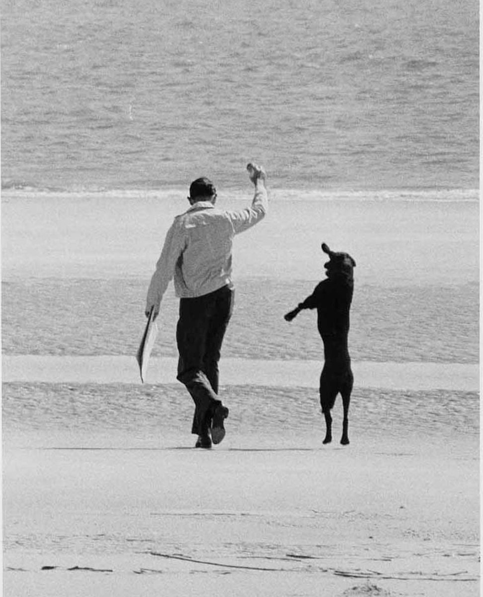 Images from the collection by Elliott Erwitt, 1928–2023.

In Erwitt's images, offbeat humor is supplemented by a strong graphic sensibility and the sense of a larger story.