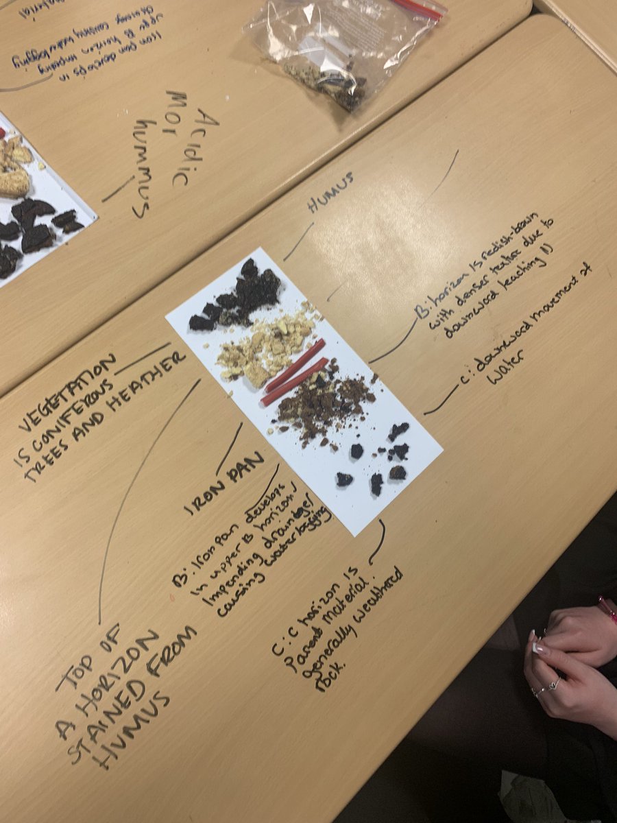 RenicksMiss's tweet photo. Annotated Podzol Soil Profiles with Highers. No notes. Just biscuits and sweets🌲🍪 https://t.co/LtiqipnXt0