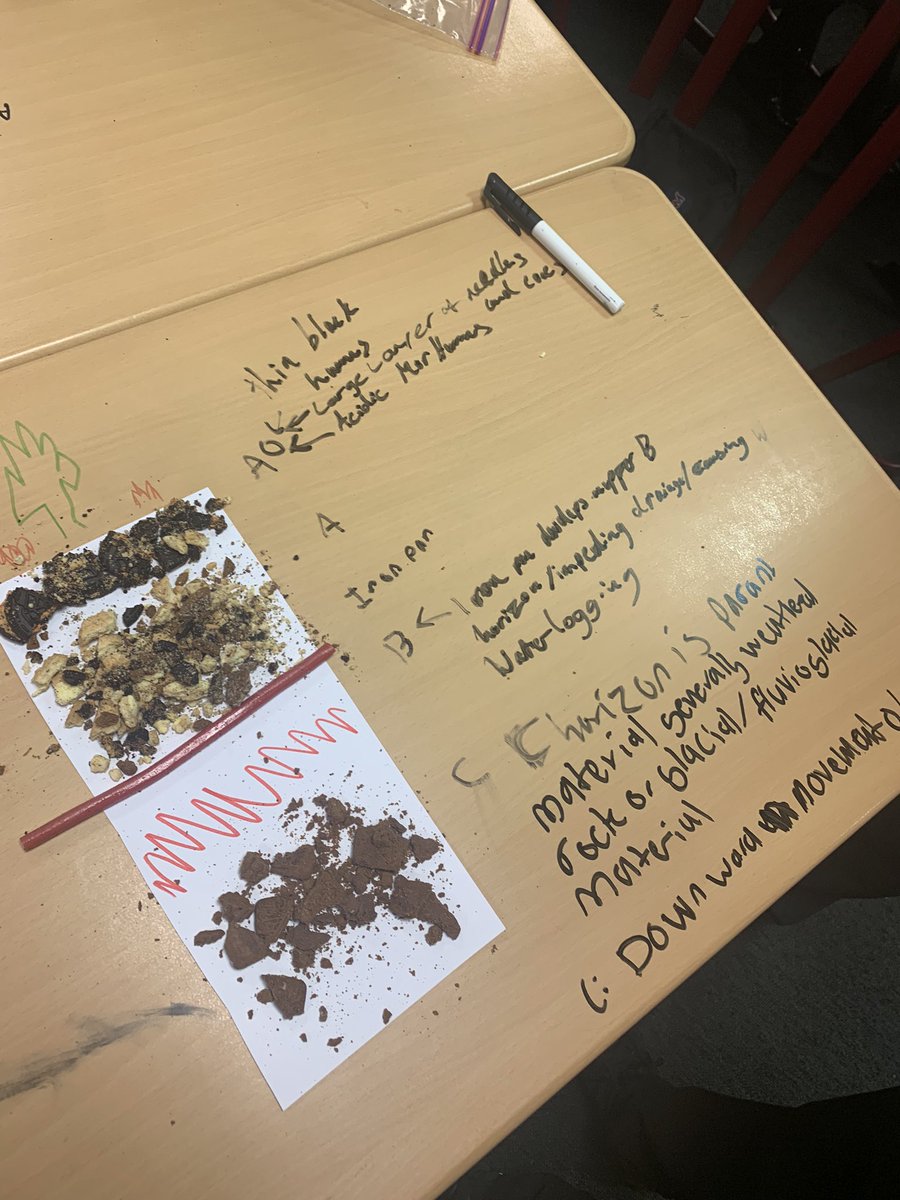 RenicksMiss's tweet photo. Annotated Podzol Soil Profiles with Highers. No notes. Just biscuits and sweets🌲🍪 https://t.co/LtiqipnXt0
