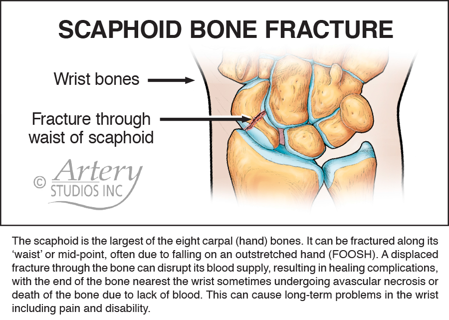 Illustrated Medicine: