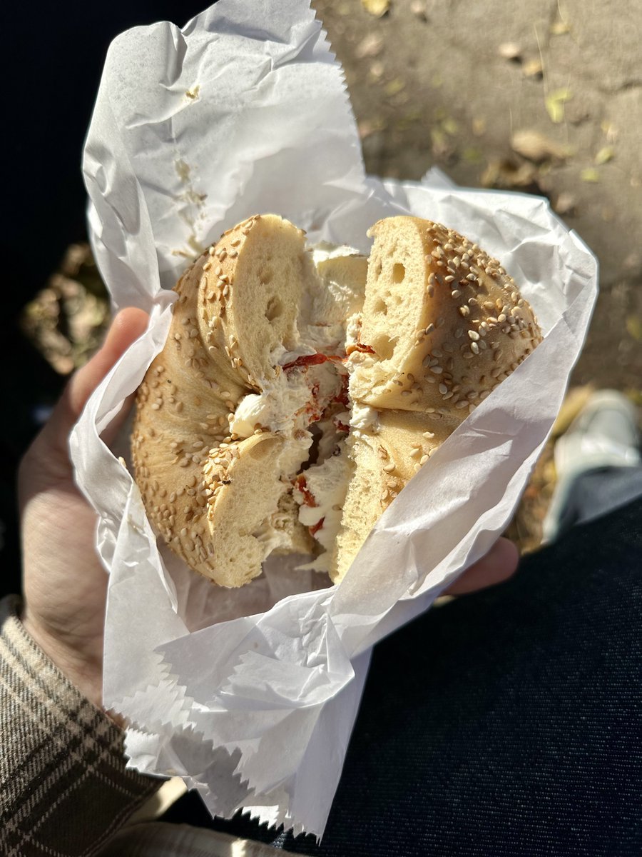 a bagel in central park in fall does it get any better?