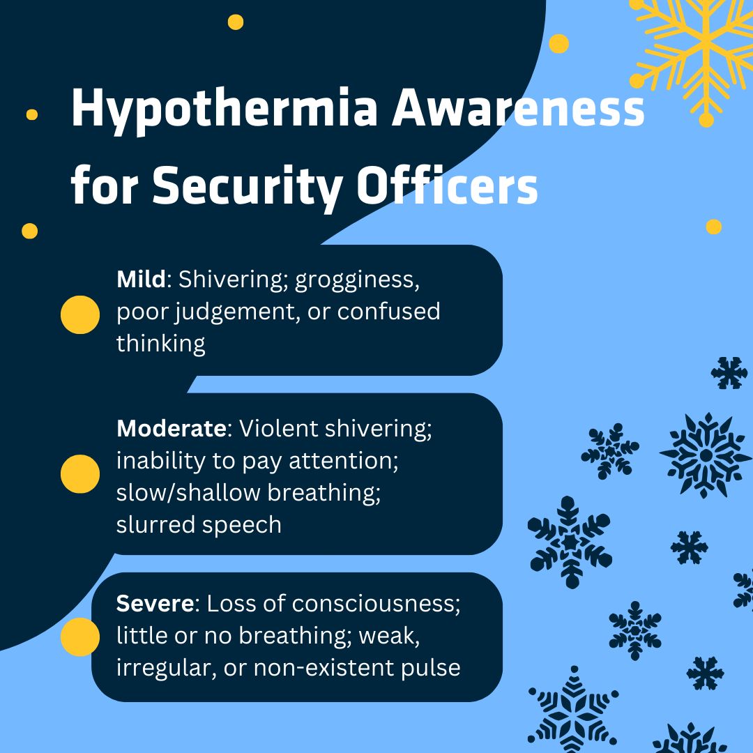 PalAmerican Security tweet media