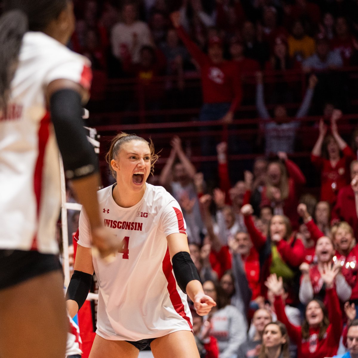 Wisconsin Badgers tweet media