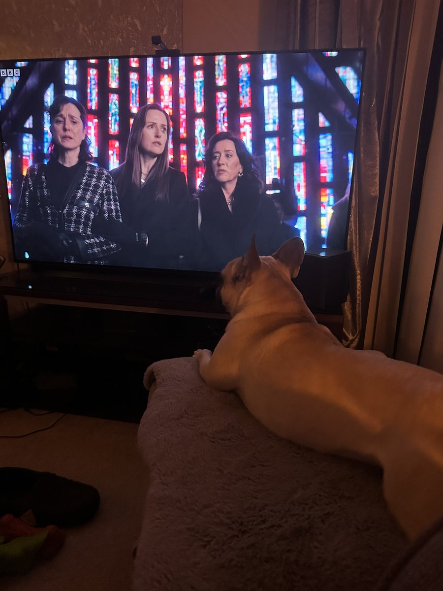 techguy112's tweet image. Oakley is also loving the @BBCOne Drama #kin .