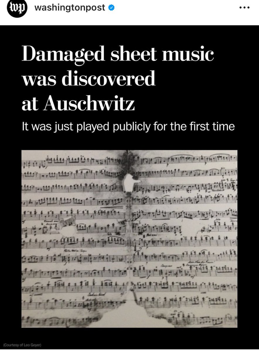 Owen Benjamin 🐻 tweet media