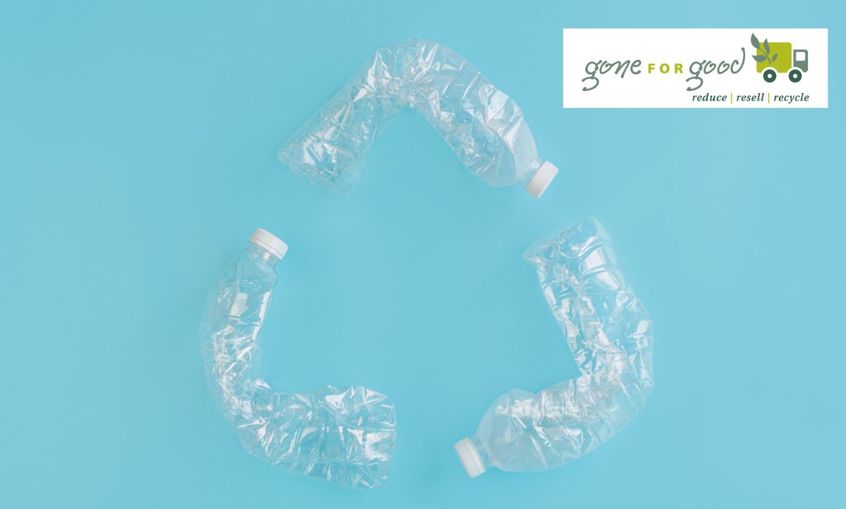 goneforgoodllc's tweet image. Explore Our Tailored Pricing Options to Suit Your Needs!
Our team of packing experts is here to assist you in estimating the ideal space for your job. We're jus... goneforgoodault.com/contact-us.html #GoneForGoodAult #TailoredPricing #WasteSolutions #EcoFriendlyHauling #YourProjectYourPrice