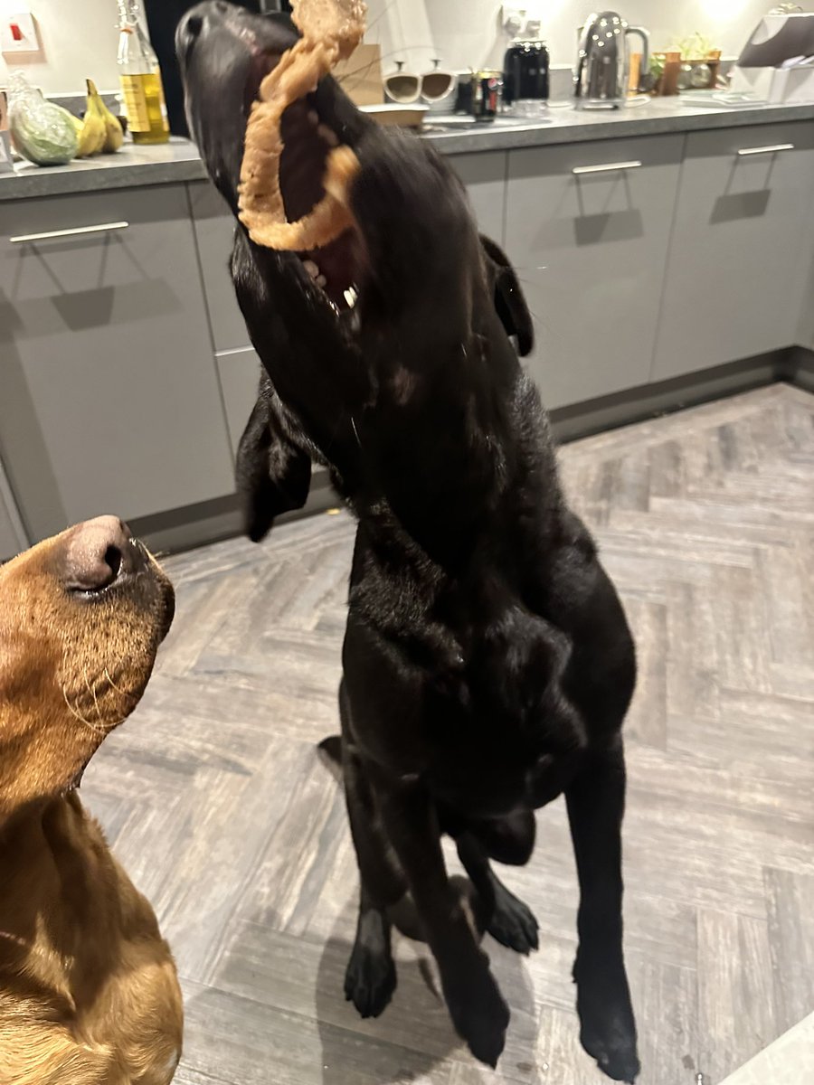 Kebab Night. Nom nom