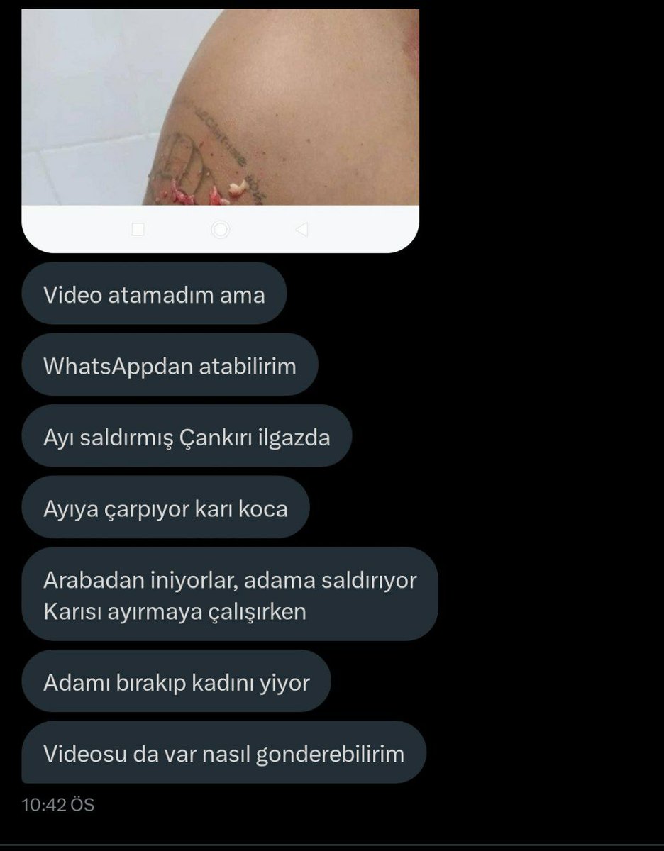 muhendisyenn's tweet photo. Çankırı Ilgaz da bir ayı saldırısı olmuş. 2 çift aracıyla gidiyor neyse yolda ayıya çarpıyorlar. Adam araçtan iniyor, ayı adama saldırıyor. Kadın araçtan inip kocasını kurtarmaya çalışıyor fakat ayı kadını diri diri yiyor.  Şimdi Twitter'dan dm den attılar. Buraya sansürlü attım. Görüntüleri gördüm dehşete düştüm. Allah rahmet eylesin. Kadını paramparça etmiş ayı. Adam ise kadını bırakıp kaçmış. Kadın resmen kendini feda etmiş. Hassas içeriktir 🔞