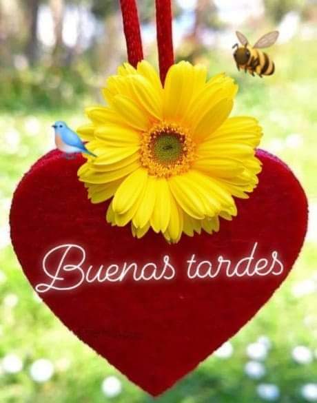 Buenas tardes