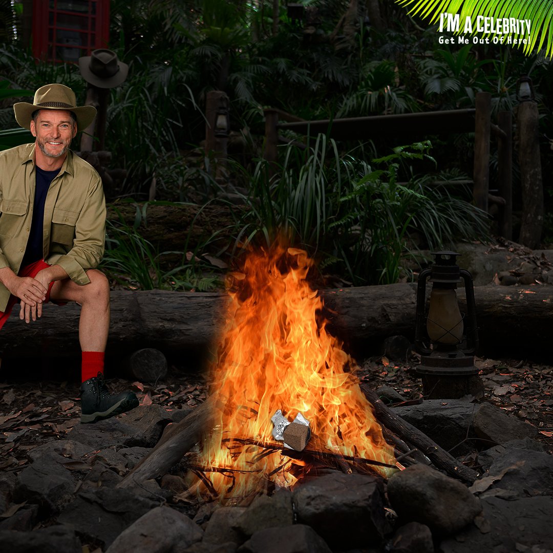 imacelebrity tweet picture