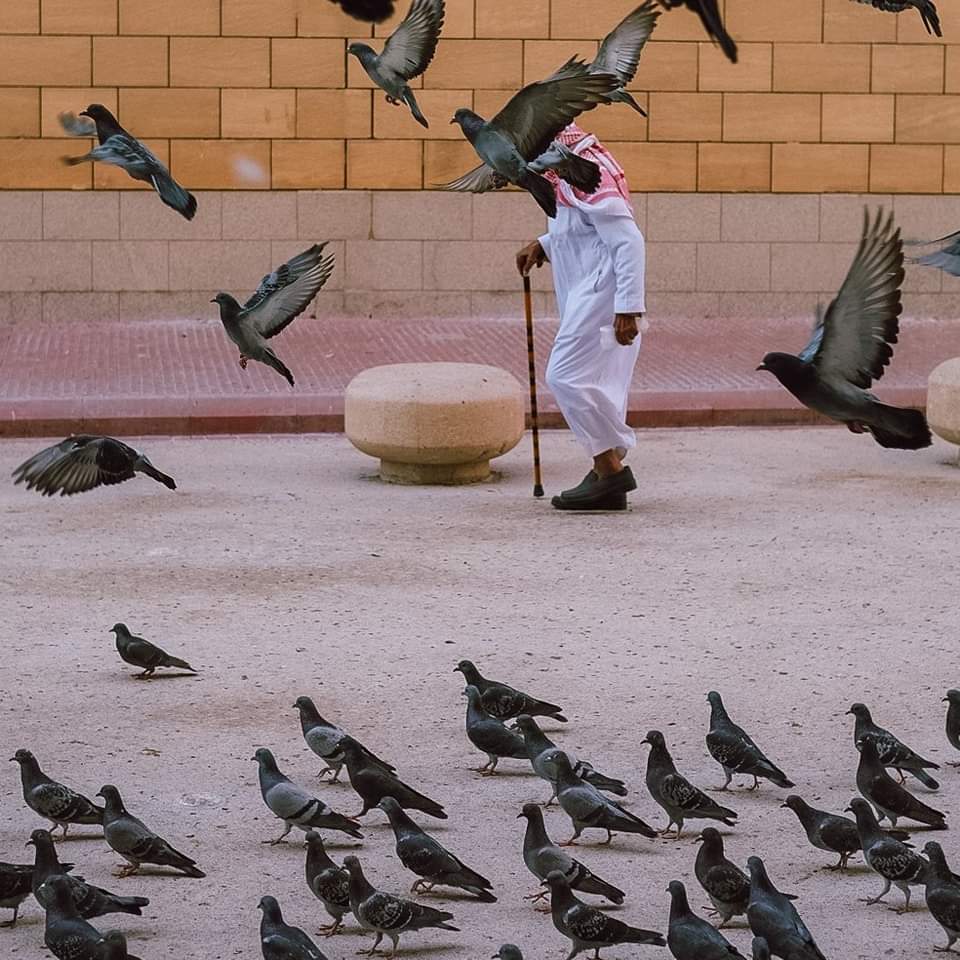 mutghzl's tweet photo. "صلوا على خير البرية تغنموا
 عشرا يصليها المليك الأعظمُ" ﷺ💚 https://t.co/fotKwPoBQ9