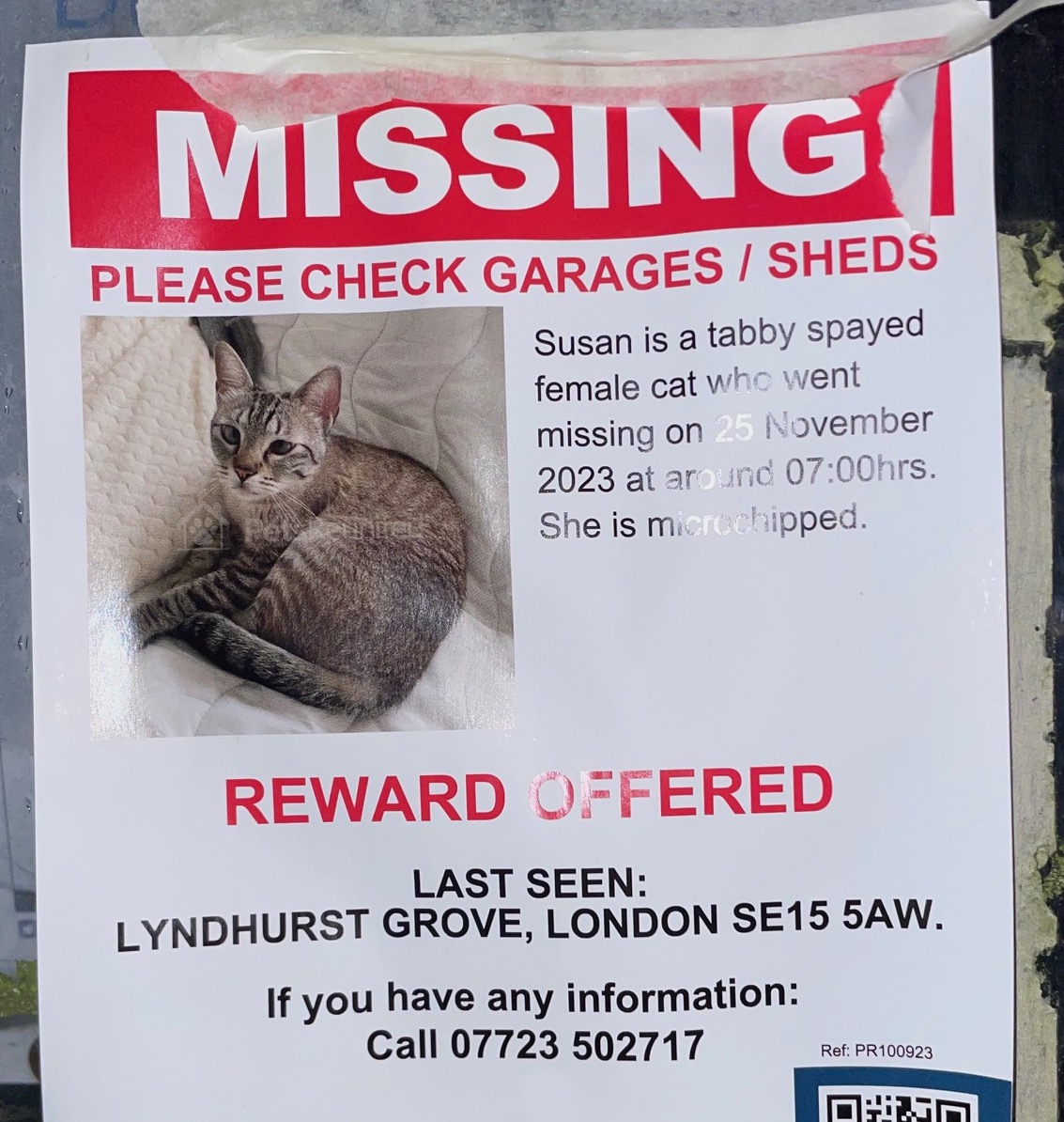 whoever put this up - I will contact you if I see your cat. But I need you to know that I'm mad at you for not titling the poster 'desperately seeking Susan'