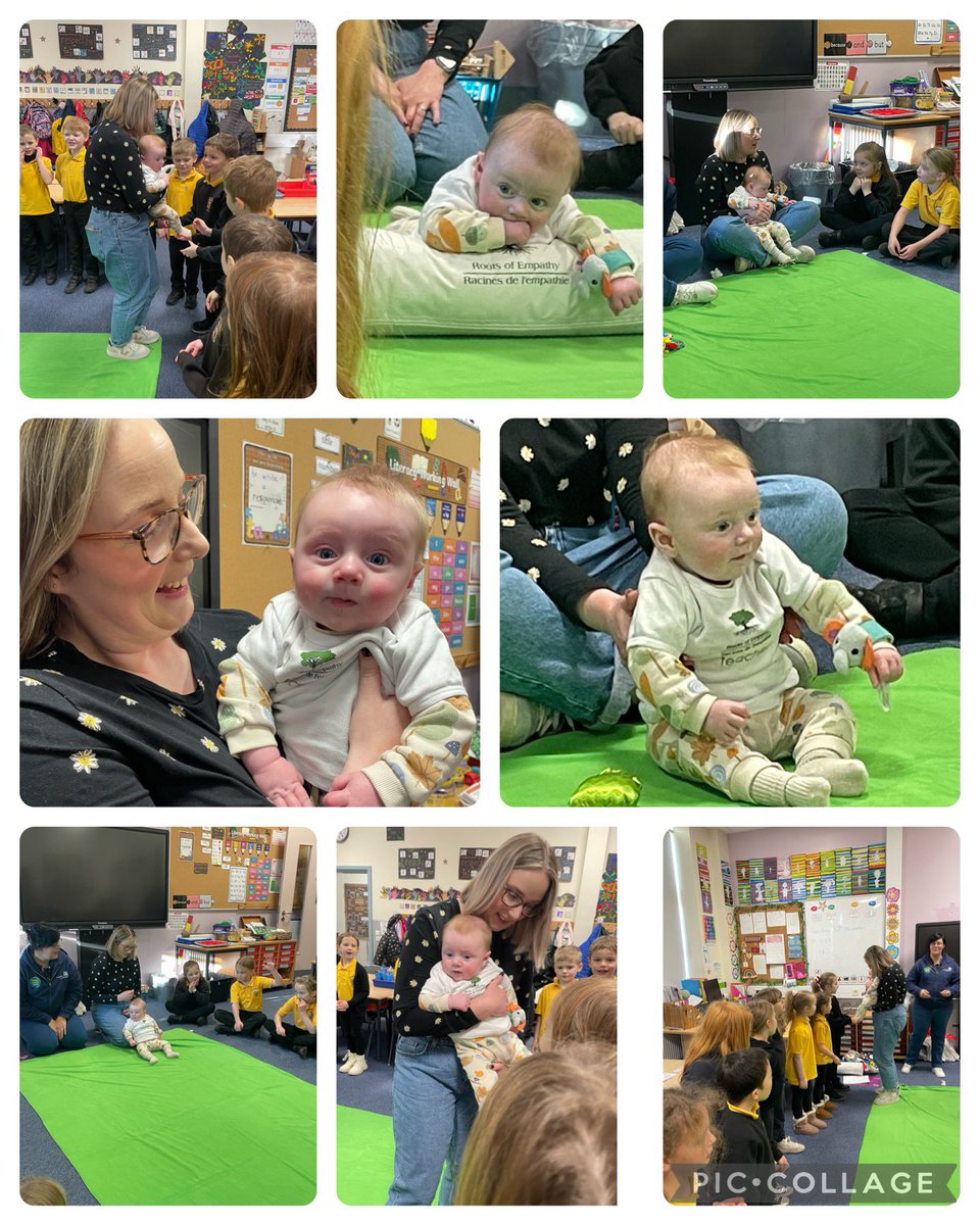 Primary 3a - CDPS tweet media