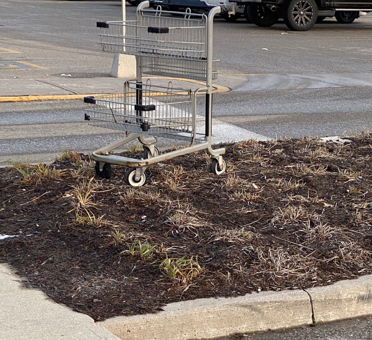 nostalgemm's tweet photo. Can’t see an abandoned shopping cart without thinking about TPB lol https://t.co/c13LAt4MGF