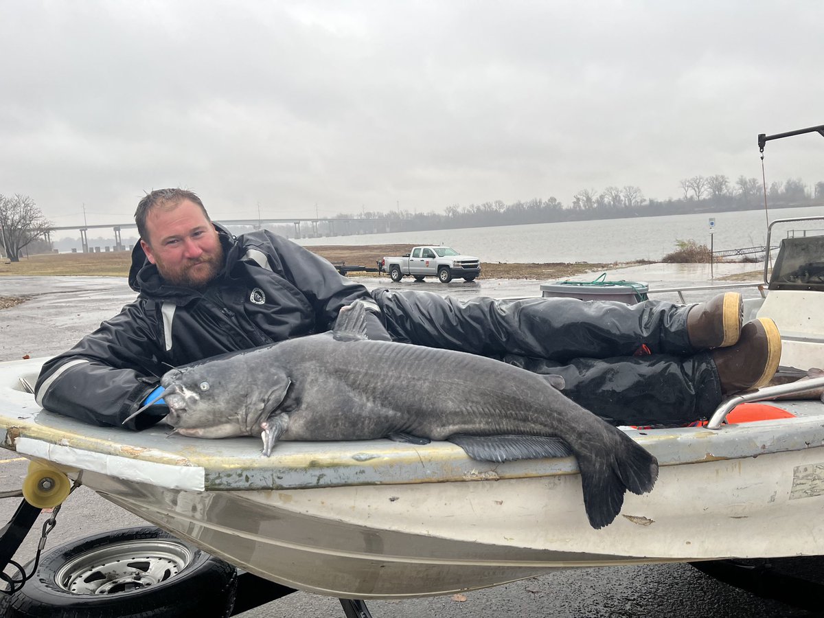 DirtyDog650's tweet image. Here’s a pose with Donnie the [fill in the blank] King. He’s the fisheries management technician who helps manage this reservoir and is assisting with #PaddlefishNetting on Kerr. We caught a bunch of big catfish for him this week.