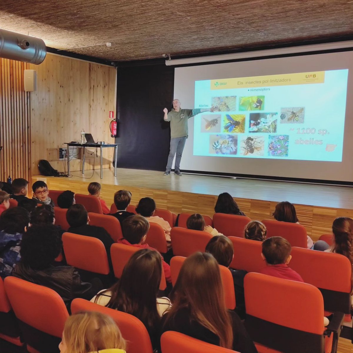 EscolaElPuig's tweet photo. Ens ha explicat la gran diversitat d'espècies d'abelles què hi ha, què mengen i on viuen, i què podem fer des de l'escola o des de casa per ajudar-les.

#escolaelpuig #primària #creaf #uab #babve #cbms #irta https://t.co/wRCCH5Rvc4
