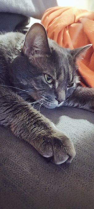 She sees you when you're choking me out ... she judges all https://t.co/4ipSS3Dbs1