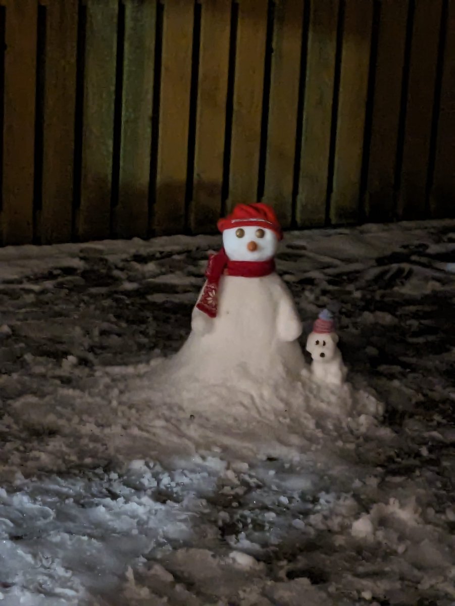 Snowman &amp; Snowdog 2023 Version! #Cornwall #snow #snowfall