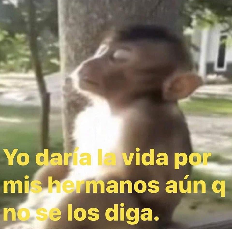 DiasPerfectos's tweet photo. *Gano un parlay soñador*

- Las historias de mi hermano en corto: https://t.co/5d7VQgwlPu