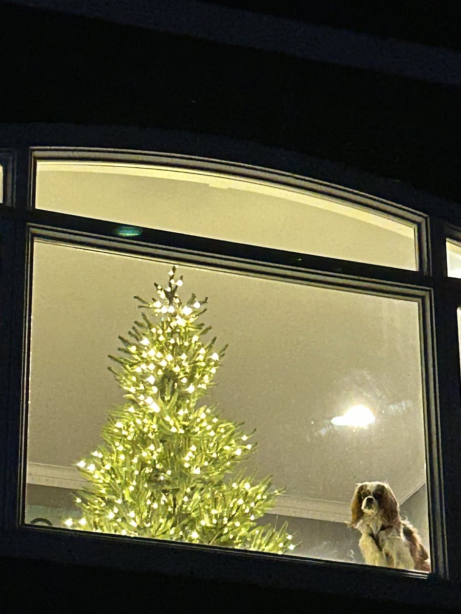 Mike Premi tweet media