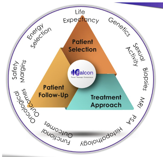 urotoday's tweet photo. #FALCON: Gaining consensus on focal therapy for localized #ProstateCancer. Presentation by @Lara__Rodriguez @IMMontsouris. #SUO23 written coverage by @RKSayyid @UofT > https://t.co/W1Hulc2dn8 @UroOnc https://t.co/9or3NwLfDl