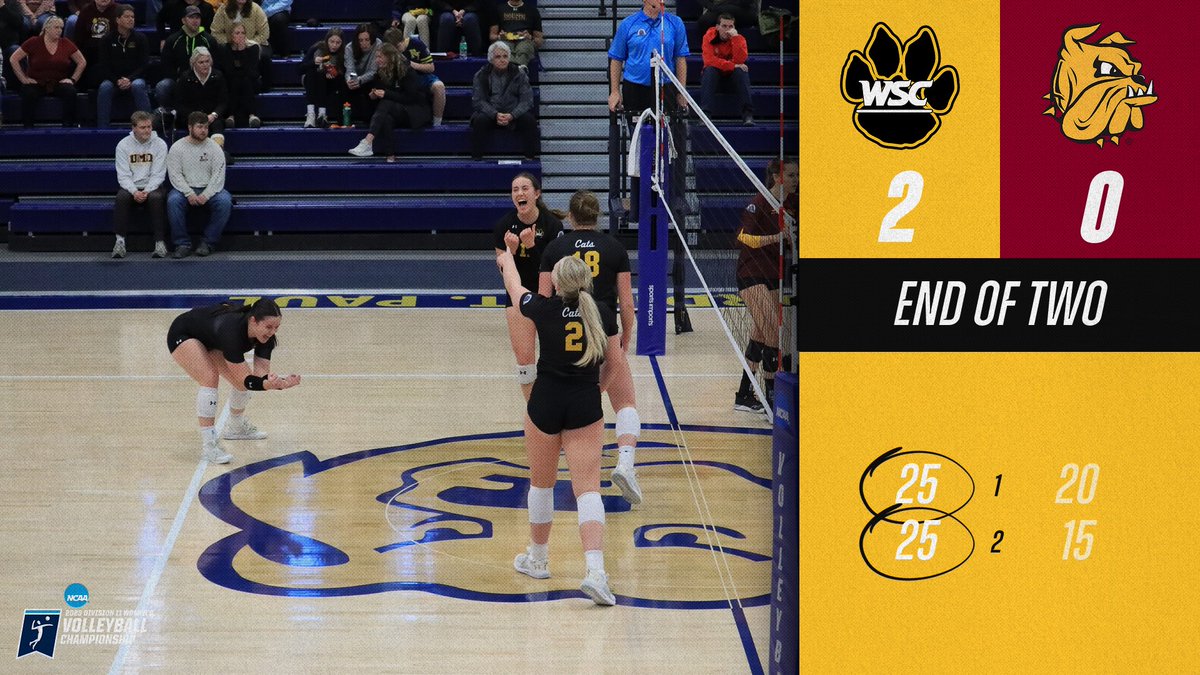 'Cats are 🔒 in 

#PlayForThePaw | #D2VB