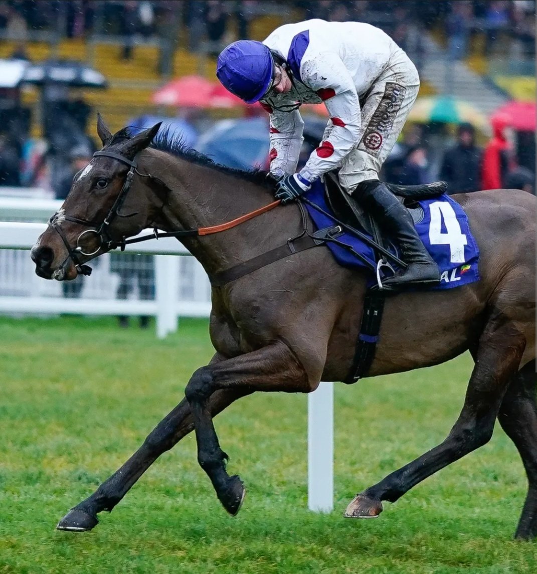 💷 If HERMES ALLEN &amp; MARIES ROCK BOTH WIN at Newbury tomorrow: 

😍 I'll give £100 Cash to One of YOU Lucky People at 10pm!! 💷

To Enter: 👇

1⃣ RT this Tweet
2⃣ Follow <a href="/racingblogger/">Stephen R Power</a>

📸 instagram.com/racingblogger

#LIVLASK #Win #uksnow #Comp 🏇