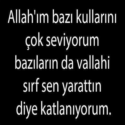 güzel dost. (@guzel_dost_3446) on Twitter photo 