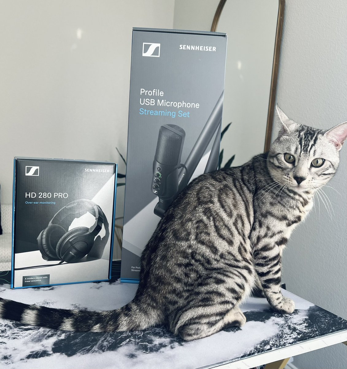 Thank you @Sennheiser for the new gear! Saber is a big fan as well!