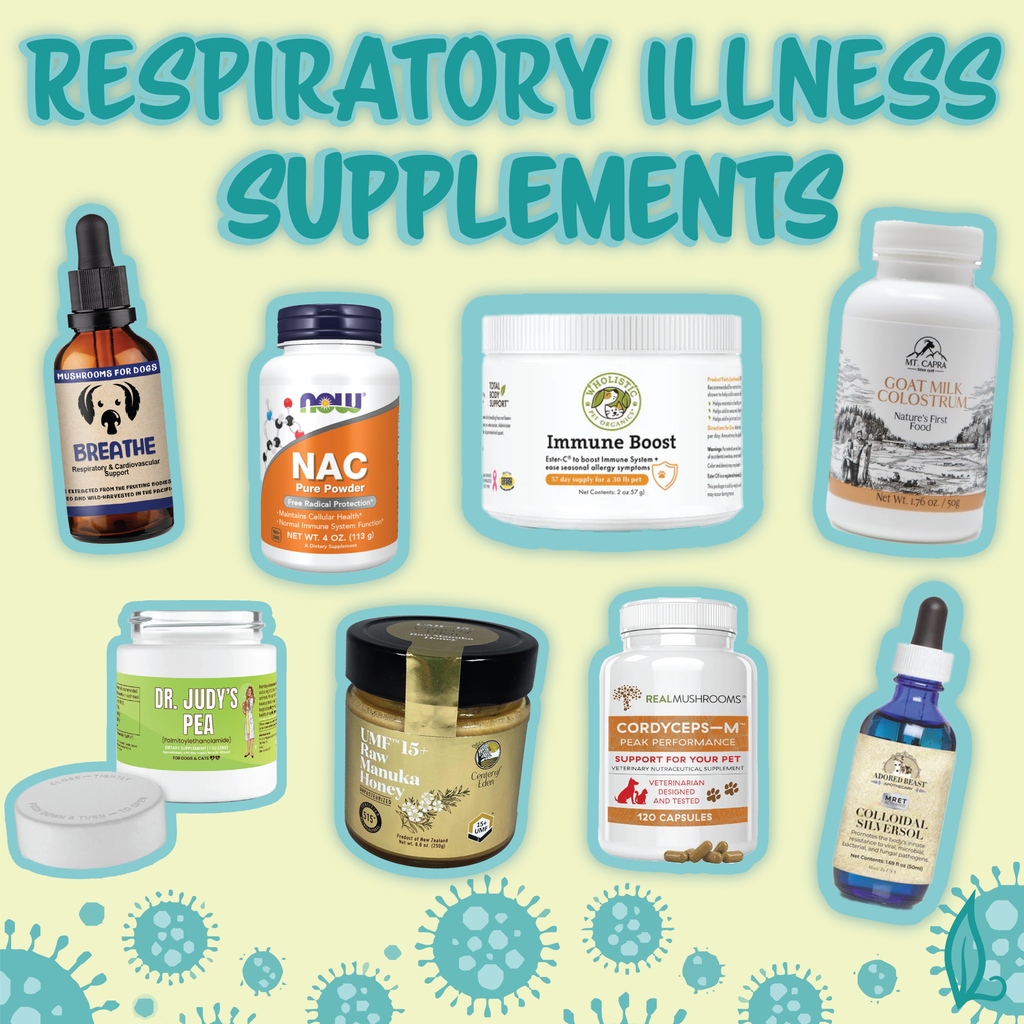 Dr. Judy Morgan's Naturally Healthy Pets tweet media