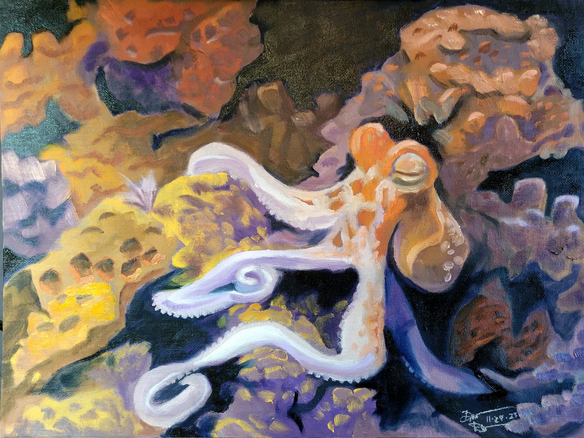 reschasketch's tweet image. Finally calling this all finished. An #octopus #oilpainting based on a still from my first ever night dive in 2017 in Cozumel. 

@TheOctoNation @CuddlefishGang #kidlitillustration #kidlitart #ampainting