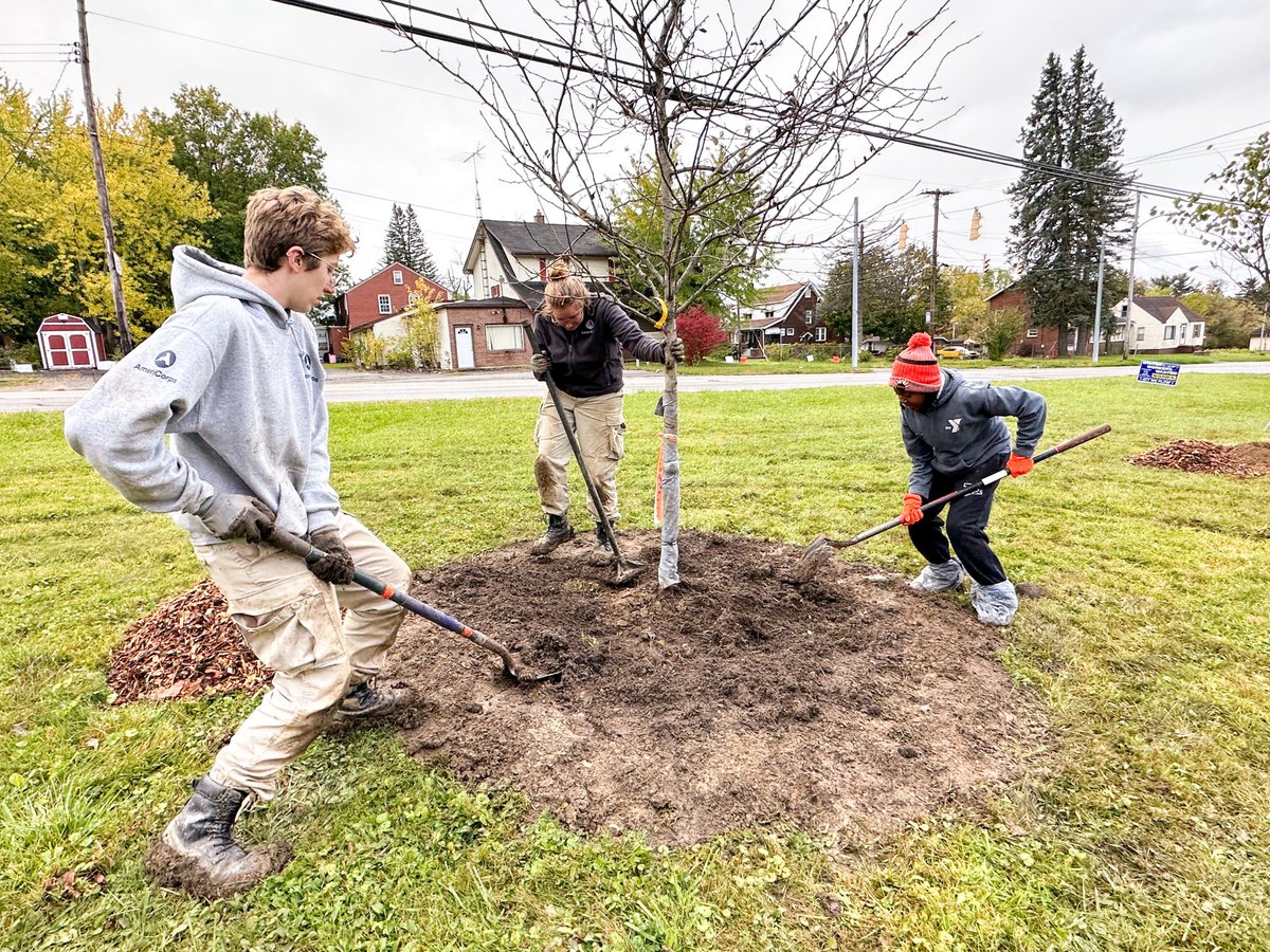 WE ARE HIRING! YNDC is seeking candidates for TreeCorps Project Manager position. See the job posting, and instructions to apply here: yndc.org/get-involved/j… NO PHONE CALLS PLEASE.