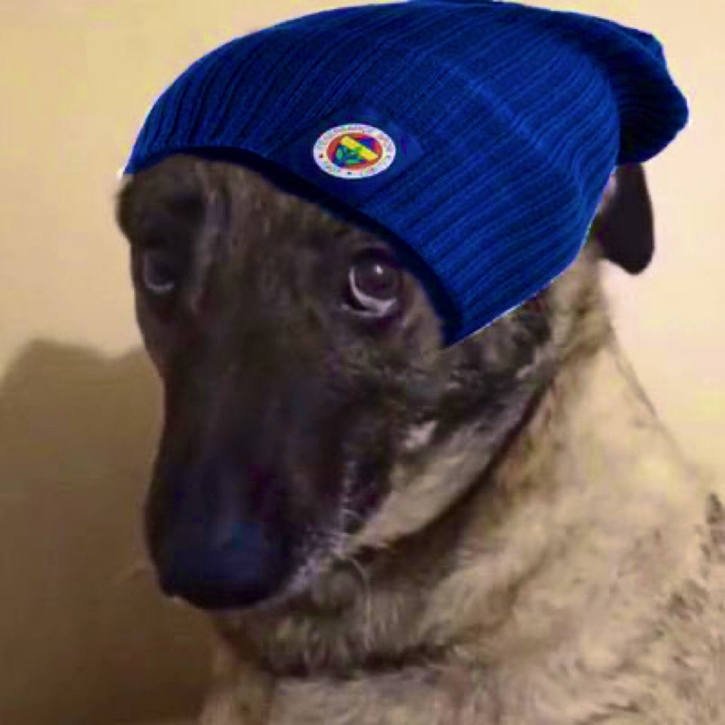 Galatasaray'la sidik yarıştırmak için manuya 5 Bayern'e 5 atarız derseniz böyle Köyferans Ligi'nde içinizden geçer adamlar 🤫