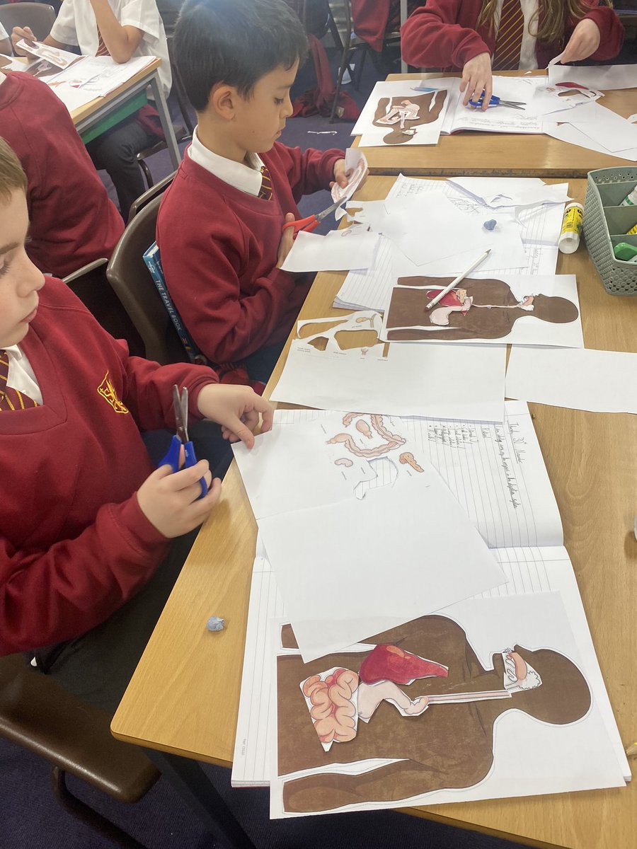 St Lewis Catholic Primary School tweet media