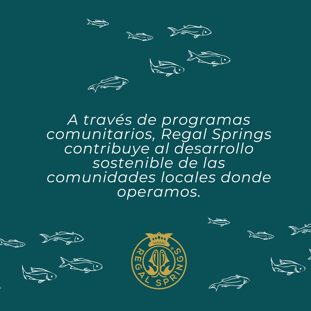 En Regal Springs, cada día es una oportunidad para cultivar sostenibilidad, respeto y amor por nuestros recursos naturales. Más que un lema, la sostenibilidad es nuestra brújula. Desde prácticas de acuicultura respetuosas hasta programas que benefician a las comunidades locales,