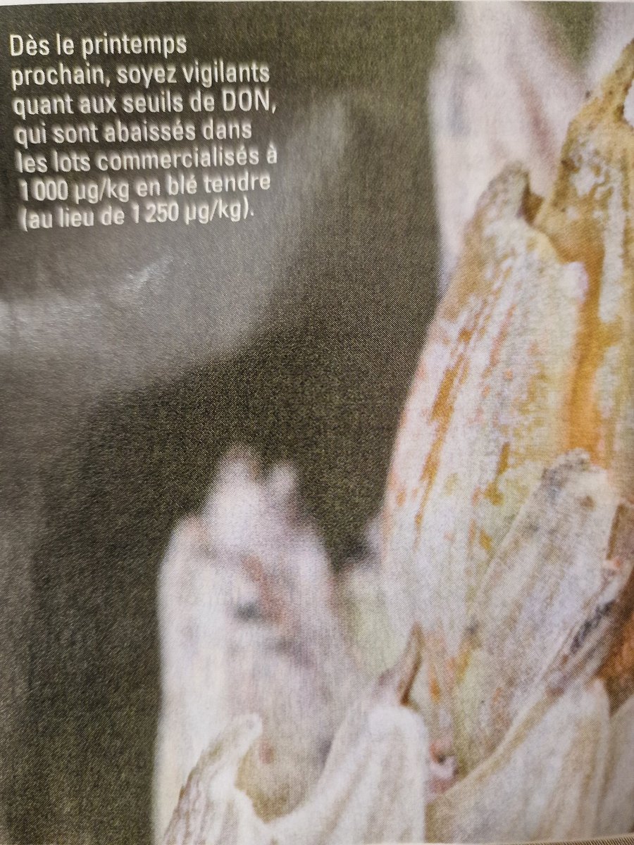 Lu ce soir dans <a href="/FranceAgricole/">La France Agricole</a> ,
en esperant que les blés bio n'échappent pas à la regle....