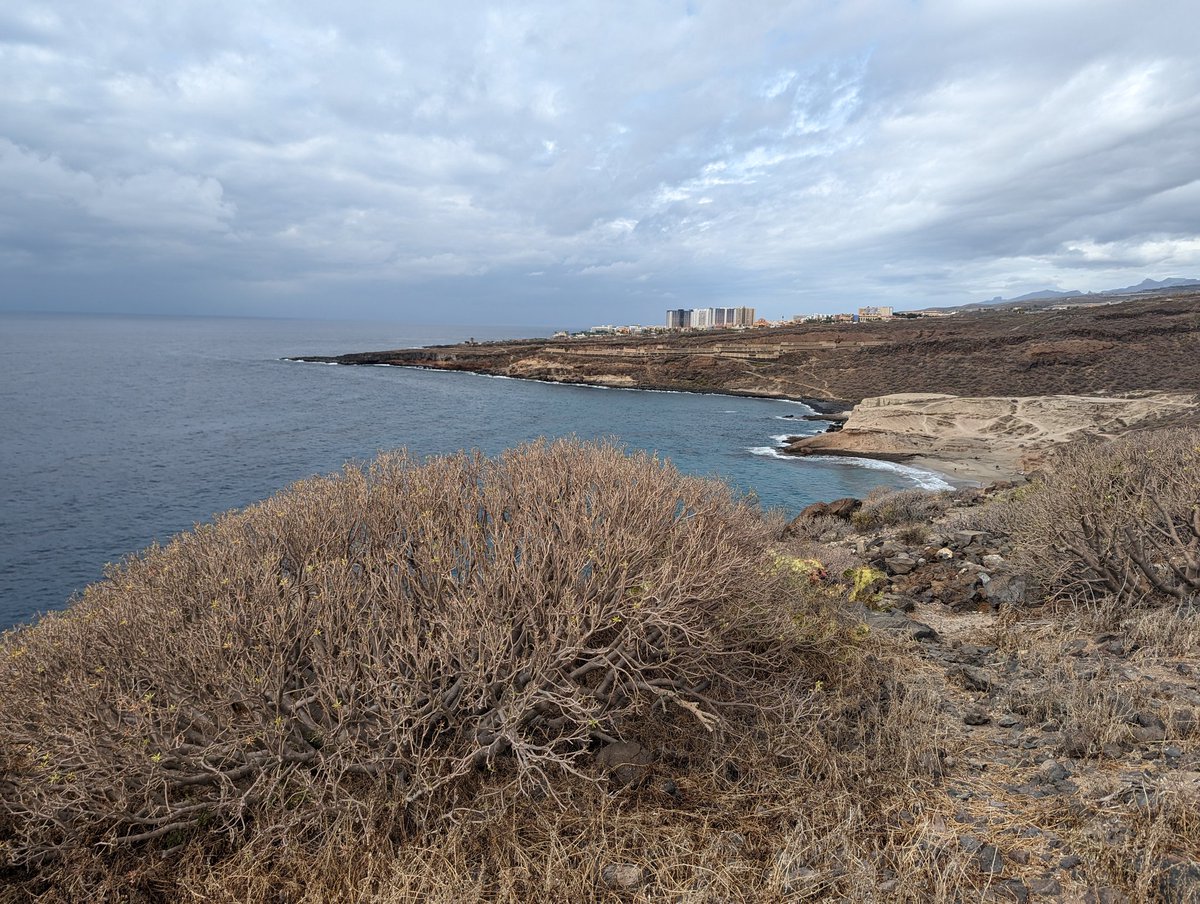 NTUGeography's tweet photo. Our walk through the La Caleta protected area was fabulous. https://t.co/wVDBDMU2v1