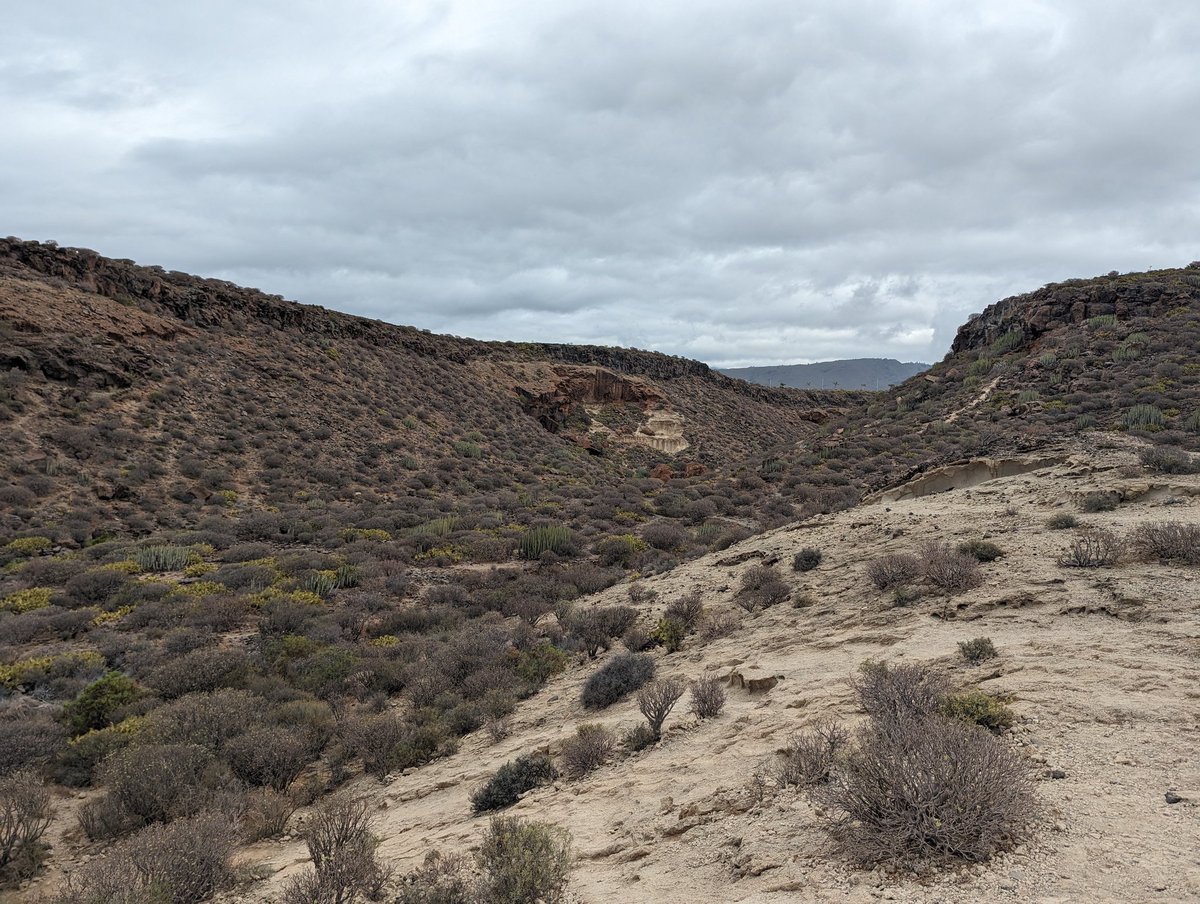 NTUGeography's tweet photo. Our walk through the La Caleta protected area was fabulous. https://t.co/wVDBDMU2v1
