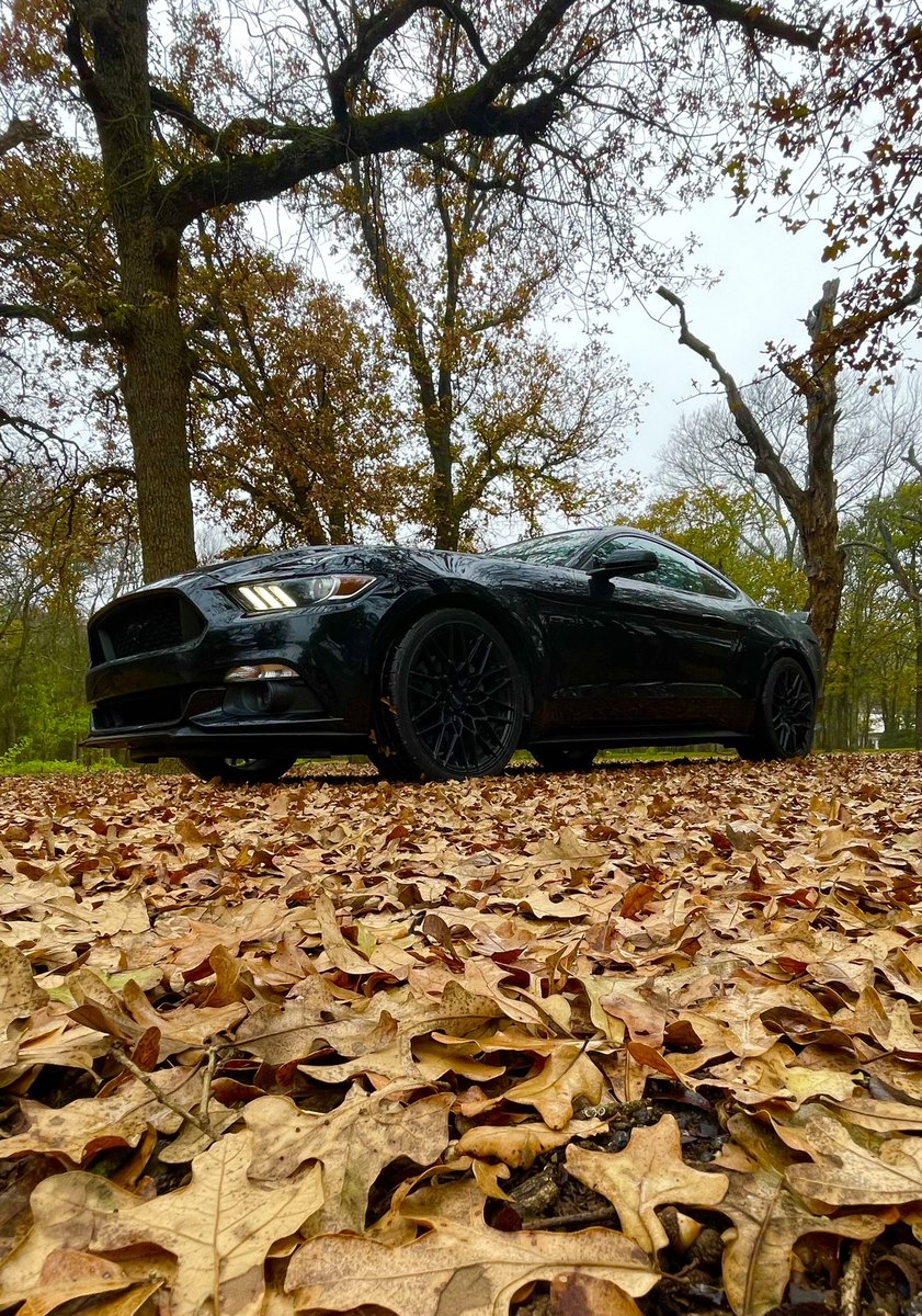 YoZixsy's tweet photo. 🍂🌧️🏎️ https://t.co/RVwmHle4gl